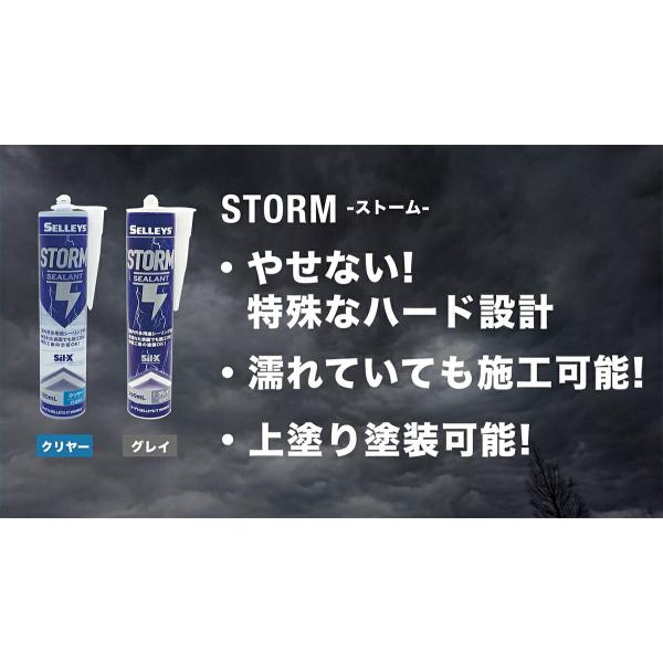 コーキング SELLEYS STORM クリヤー 290ml ×10本 ニッペ シリコンシーラント コーキング剤 変成シリコン シリコーンシーラント シーリング材_1