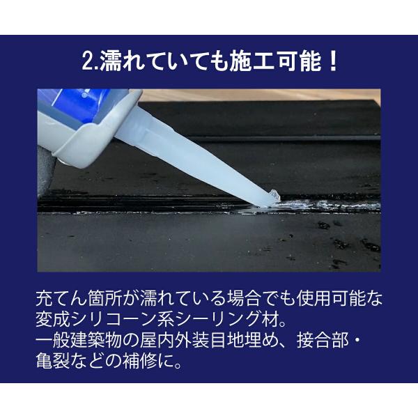 コーキング SELLEYS STORM クリヤー 290ml ×10本 ニッペ シリコンシーラント コーキング剤 変成シリコン シリコーンシーラント シーリング材_3