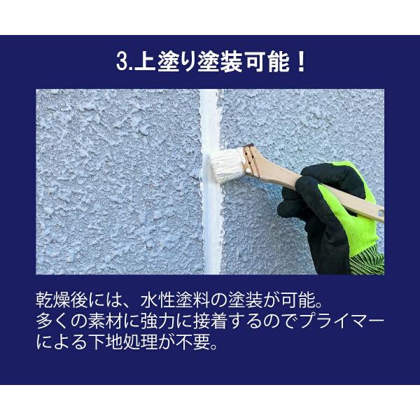 コーキング SELLEYS STORM クリヤー 290ml ×10本 ニッペ シリコンシーラント コーキング剤 変成シリコン シリコーンシーラント シーリング材_5