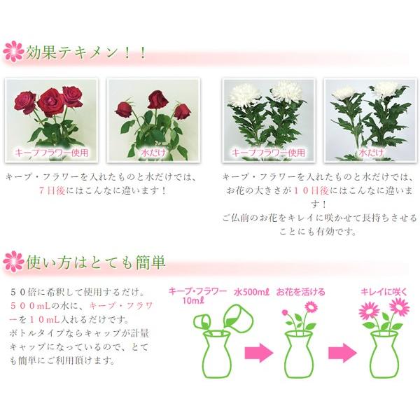 キープフラワー 18L フジ日本 切花延命剤 バラ苗 切り花 延命剤 菊 苗 バラ 活力延命剤 切花 活力剤 花瓶 鮮度保持 栄養補給 防腐剤 カットフラワー_1