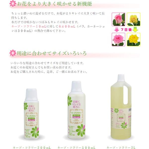 キープフラワー 18L フジ日本 切花延命剤 バラ苗 切り花 延命剤 菊 苗 バラ 活力延命剤 切花 活力剤 花瓶 鮮度保持 栄養補給 防腐剤 カットフラワー_2
