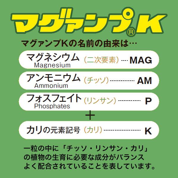肥料 マグァンプK 小粒 20kg ハイポネックス 肥料 野菜 肥料 芝生 肥料 花 肥料 草花 肥料 バラ 肥料 20kg バラの肥料 芝生の肥料 化成肥料 野菜肥料_2