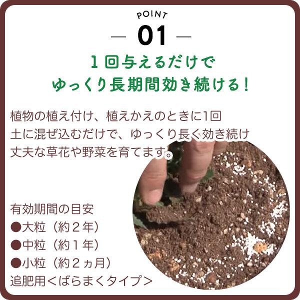 肥料 マグァンプK 小粒 20kg ハイポネックス 肥料 野菜 肥料 芝生 肥料 花 肥料 草花 肥料 バラ 肥料 20kg バラの肥料 芝生の肥料 化成肥料 野菜肥料_3