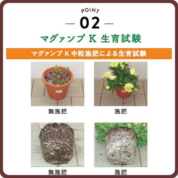 肥料 マグァンプK 小粒 20kg ハイポネックス 肥料 野菜 肥料 芝生 肥料 花 肥料 草花 肥料 バラ 肥料 20kg バラの肥料 芝生の肥料 化成肥料 野菜肥料_4