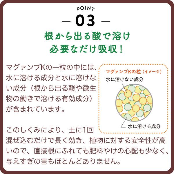 肥料 マグァンプK 小粒 20kg ハイポネックス 肥料 野菜 肥料 芝生 肥料 花 肥料 草花 肥料 バラ 肥料 20kg バラの肥料 芝生の肥料 化成肥料 野菜肥料_5