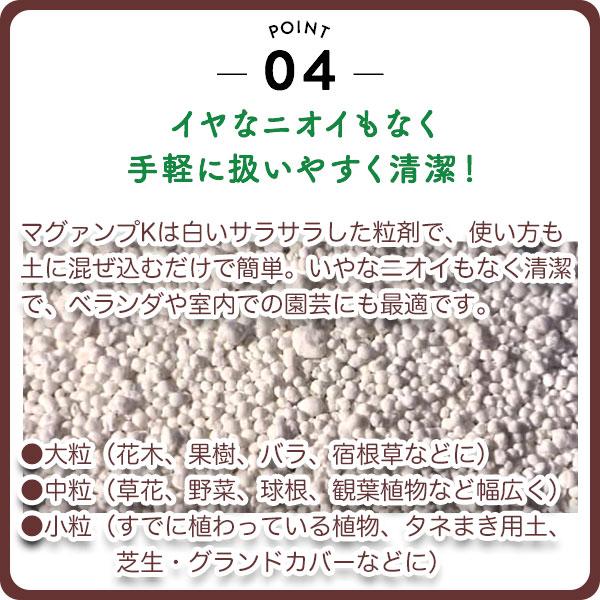 肥料 マグァンプK 小粒 20kg ハイポネックス 肥料 野菜 肥料 芝生 肥料 花 肥料 草花 肥料 バラ 肥料 20kg バラの肥料 芝生の肥料 化成肥料 野菜肥料_6