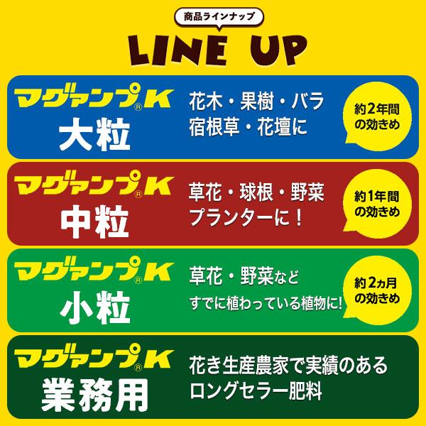 肥料 マグァンプK 小粒 20kg ハイポネックス 肥料 野菜 肥料 芝生 肥料 花 肥料 草花 肥料 バラ 肥料 20kg バラの肥料 芝生の肥料 化成肥料 野菜肥料_7