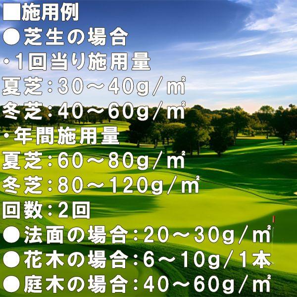 肥料 法人限定 緑化専用肥料 複合 バーディーグリーン 20kg×10袋 ジェイカムアグリ 肥料 芝生 肥料 芝 肥料 200kg 芝生の肥料 IB肥料 IB 肥料 芝生 業務用_2