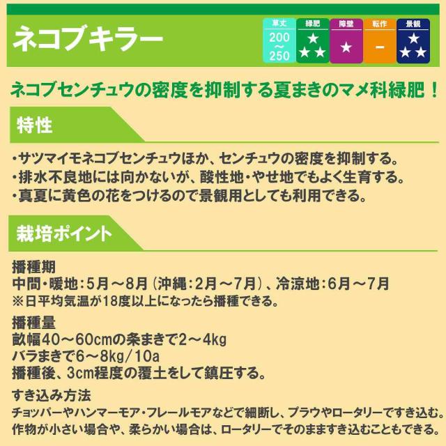 クロタラリア ネコブキラー 20kg (1kg×20袋) タキイ種苗 緑肥 種 緑肥 種子 緑肥 業務用 種子 緑肥 業務用 種 景観用 緑肥 種 景観用 緑肥 種子 景観用緑肥_1