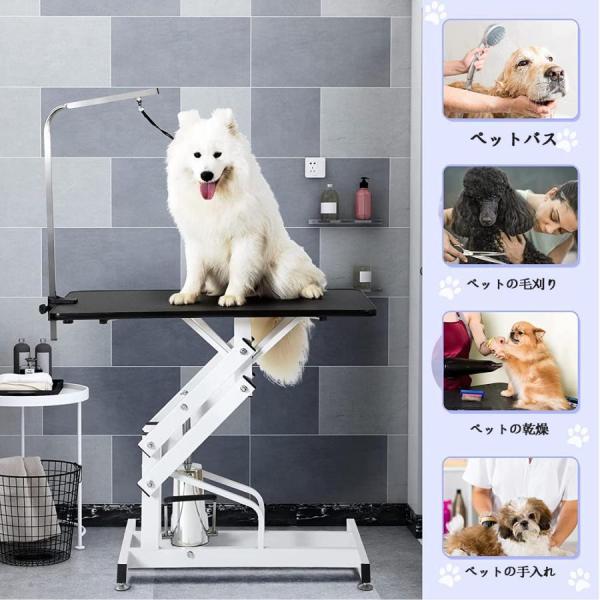 PETGUGU 自動給餌器 猫 カメラ付き 3.5L大APPインテリジェント監視