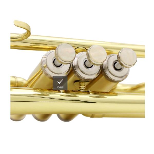 トランペット 初心者入門セット Bb調 管楽器 株式会社錦 真鍮製