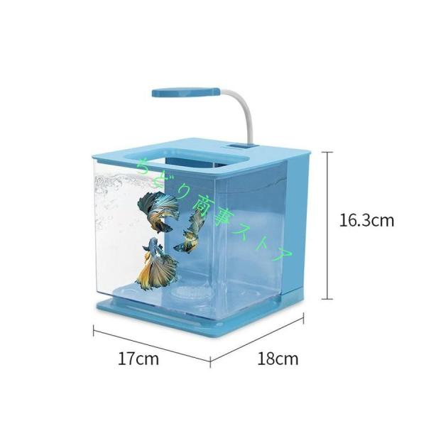 ベタ 水槽 ベタ飼育箱 熱帯魚観賞魚 水族館 ショーベタ 株式会社錦照ら