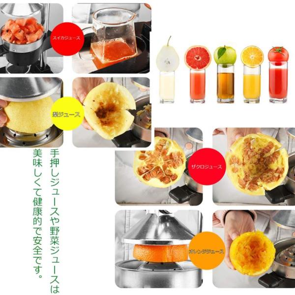 果汁しぼり器 ハンドブレンダー スロー ハンド ジューサー ステンレス