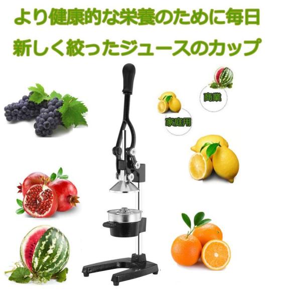 果汁しぼり器 ハンドブレンダー スロー ハンド ジューサー ステンレス