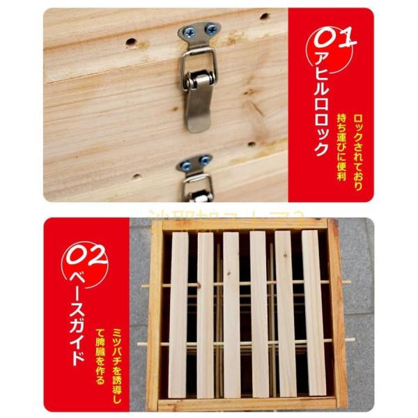 日本ミツバチ重箱式巣箱 捕獲飼育用 待ち箱 Amazon.co.jp: 日本みつばち用