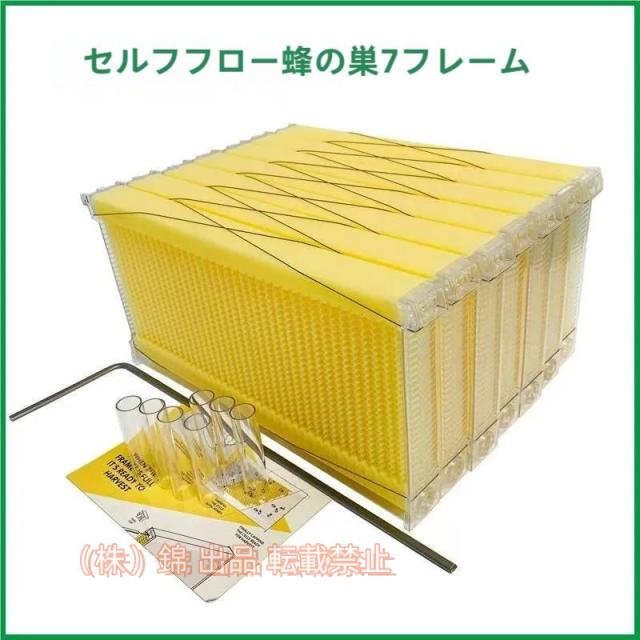 捕虫網の円光 : 標本商ル・ムールトとその時代(奥本大三郎 著) / 南陽