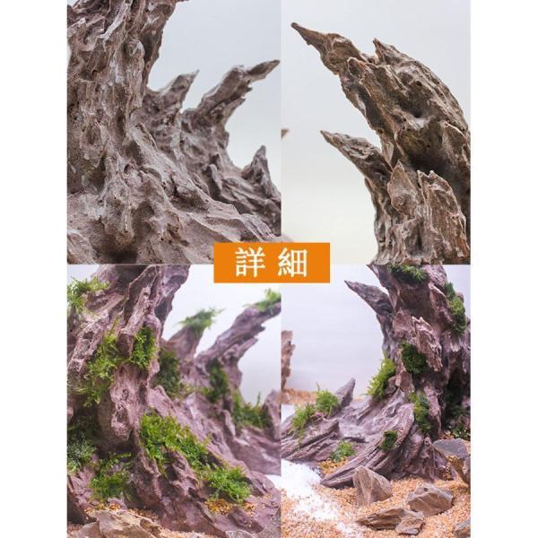 水槽用流木 波状レイアウト 。 ドラゴンの洞窟。水生植物。水槽用流木