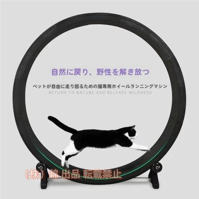 猫のおもちゃ キャットホイール 猫舎 猫ホイール 回し車 省スペース 運動不足解消 株式会社錦ルームランナー ランニングマシーン