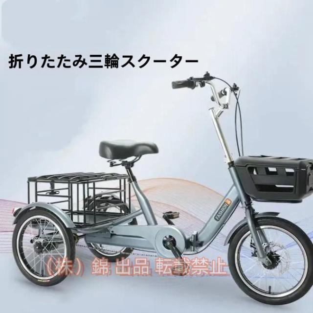 自転車 大人用三輪車 自転車アシスタント ビーチクルーザー 株式会社錦 シニア