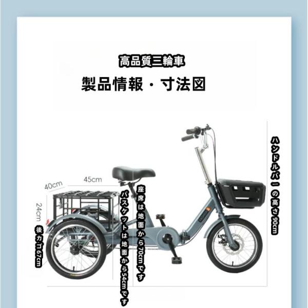 大人用三輪車 自転車アシスタント ビーチクルーザー 株式会社錦 シニア
