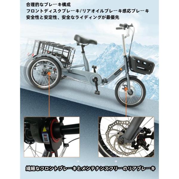 大人用三輪車 自転車アシスタント ビーチクルーザー 株式会社錦 シニア