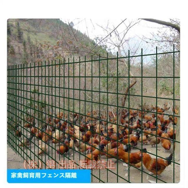 金網フェンス、1.2M（H）x 30M（L）ワイヤー亜鉛メッキ6CMメッシュサイズ2 MMワイヤー直径株式会社錦植物フェンシングを保護するため Dark green 1.2X30M