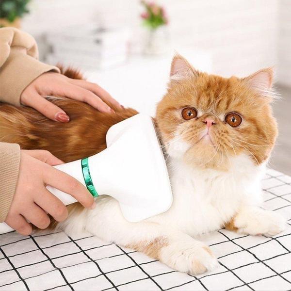 ペットドライヤー 犬 猫用 ヘア乾燥機 【公式通販】