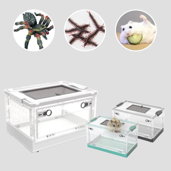 爬虫類(亀・トカゲ)飼育セット 爬虫類ケージ 飼育 ケース 爬虫類