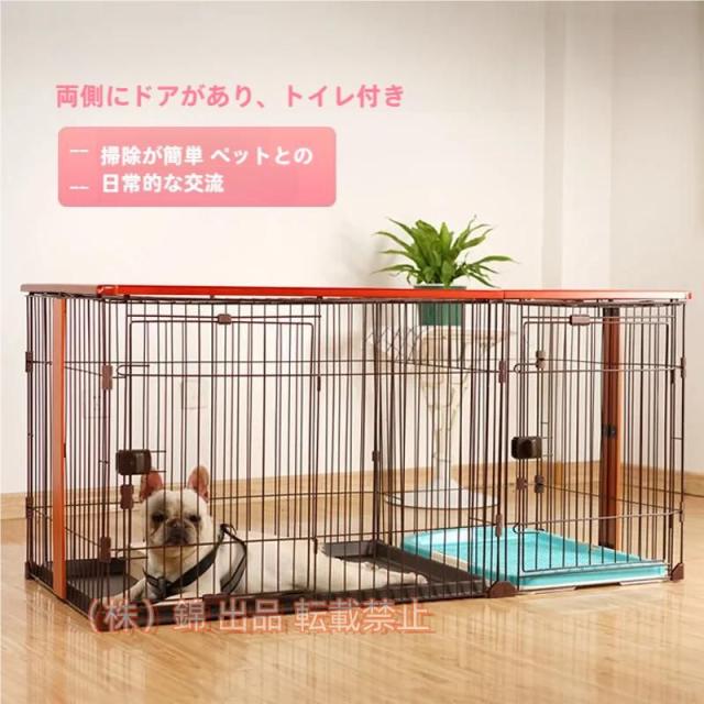 ウサギ用フード 1709 三晃商会 パパイヤサプリ お徳用 100g×6セット（600g） ウサギ用フード 1709 三晃商会 パパイヤサプリ お徳用 100g×6セット