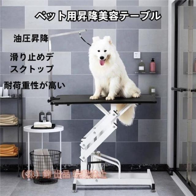 4cゼーロデッキ/40枚/シデンシーザー/エリンギ/アーテルゴルギーニ 4cゼーロデッキ/40枚/シデンシーザー/エリンギ/アーテルゴルギーニ 4c