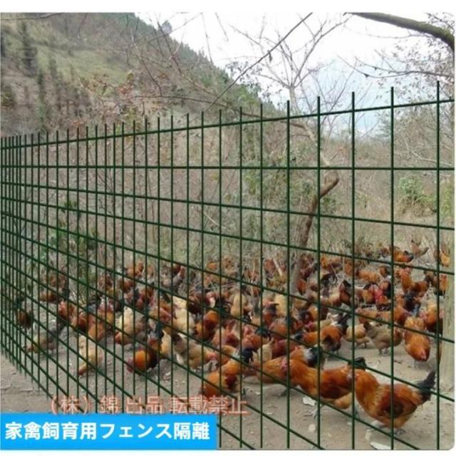 金網フェンス1PCS、1.2M（H）x 30M（L）ワイヤー亜鉛メッキ6CMメッシュサイズ2 MMワイヤー直径、錦 植物フェンシングを保護するため Dark green 1.2X30M