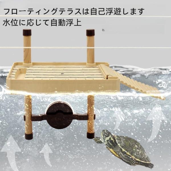 亀水槽大きいガラスボックスカメの水槽タートルタンク排水管付き日向ぼっこ台錦爬虫類両生類アクセサリー飼育ケースカメ生息地亀観察飼育用ガラス水