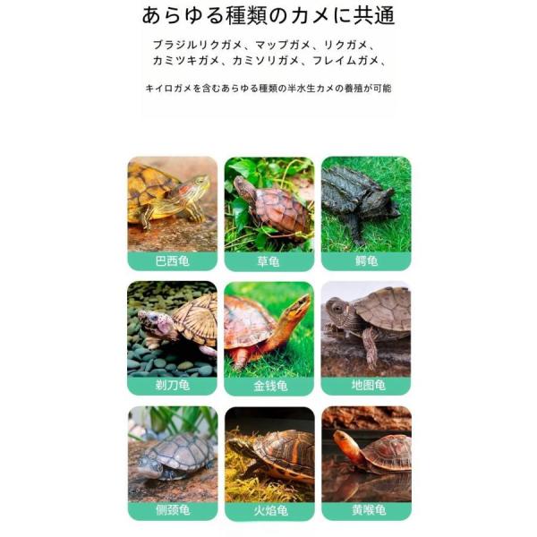 亀水槽大きいガラスボックスカメの水槽タートルタンク排水管付き日向ぼっこ台錦爬虫類両生類アクセサリー飼育ケースカメ生息地亀観察飼育用ガラス水