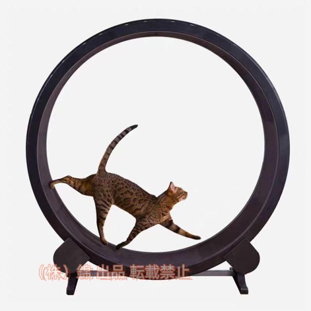 キャットローラー 運動不足 キャットホイール 猫 ペット ダイエット