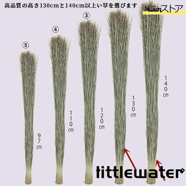 ドリームアメジスト♡握り石♡ お財布に♡No2203 Venus Web Shop