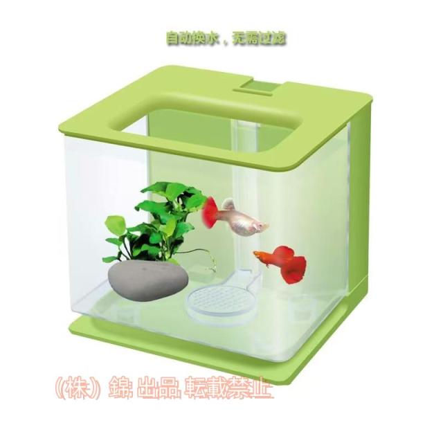 ベタ観賞用水槽 Amazon | TIHONORI ベタ水槽 - 底部排水機能付き1.4L