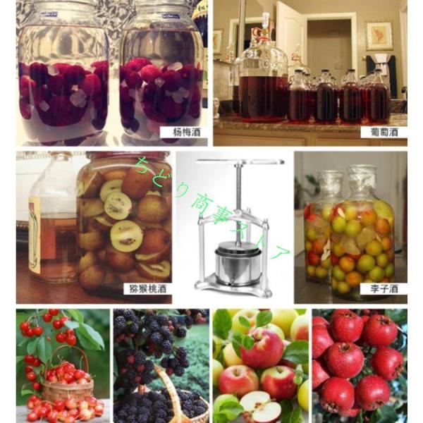 レモンオレンジジューサー6L果汁絞り器ジューサーミキサー搾汁機ワイン