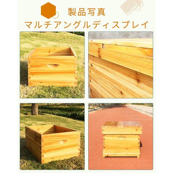 蜜蜂巣箱 ミツバチ巣箱 養蜂箱 巣箱 蜂箱 フローハイブ養蜂セット 蜜蜂