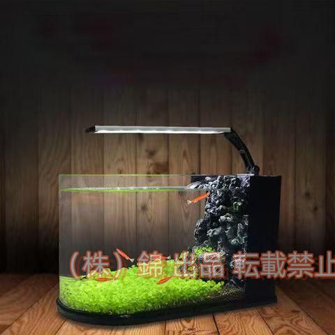 紫ミツバ クロミツバ 銅葉 5株