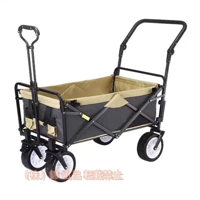 アガベ ハイブリッド 處女座 連棘 活着株鉢ごと発送 タグ付き