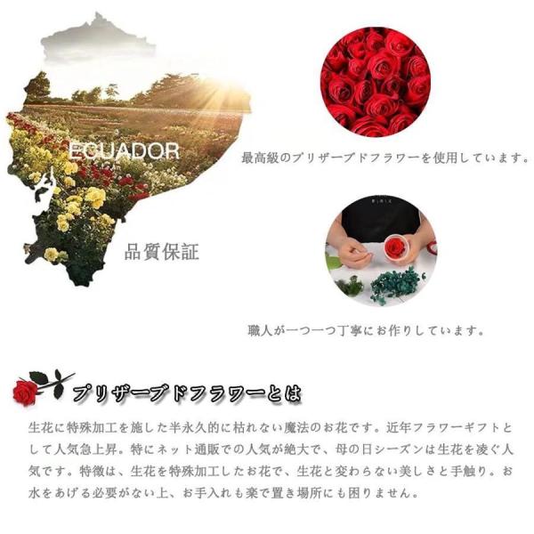 プリザーブドフラワードライフラワー枯れない花株式会社錦ガラスドーム薔薇バラフラワーギフトプレゼントギフトボックス手提げ袋メッセージカード無料サービス_3