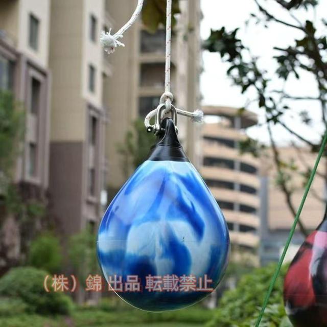 パトライト ラッパッパホーンスピーカー一体型 色:青 RT-24A-B パトライト（PATLITE） ラッパッパホーンスピーカ一体型 品番：RT