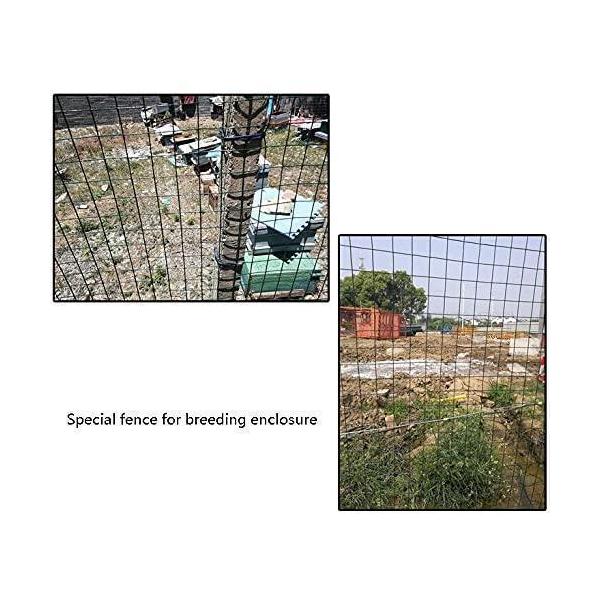 1.2M（H）x 30M（L）ワイヤー亜鉛メッキ6CMメッシュサイズ2 MMワイヤー直径、植物フェンシングを保護するため 株式会社錦Dark green 1.2X30M