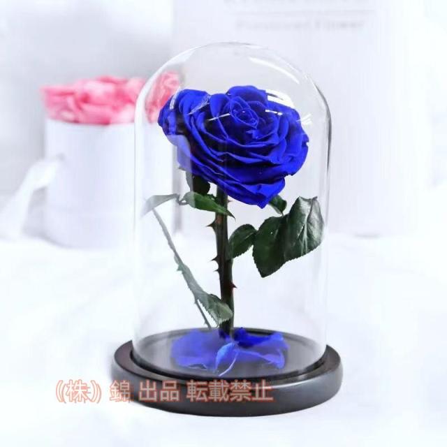 美女と野獣のバラ 本物バラ プリザーブドフラワーバラ 永遠の花 保存花 バレンタインデー、クリスマス、母の日株式会社錦 結婚記念日 結婚式 誕生日プレゼント