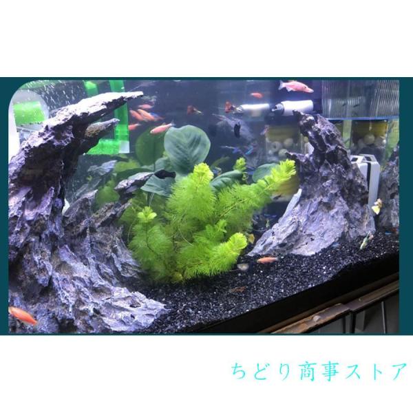 アクアリウム・水槽オブジェセット 天然フジツボ 4つセット