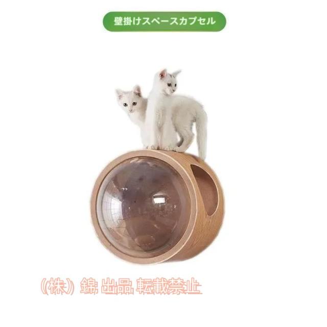 キャットウォーク 壁付け 木製 宇宙船 猫ハウス 透明ペット用ベッド