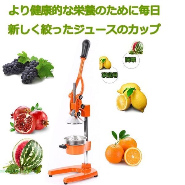 果汁しぼり器ハンドブレンダースローハンドジューサーステンレス果汁