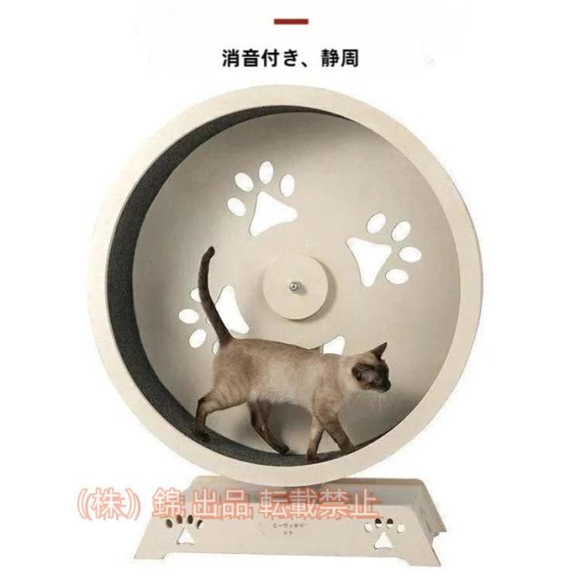 ルームランナー 猫 犬 トレッドミル Amazon.co.jp: DOG WooF 猫 犬