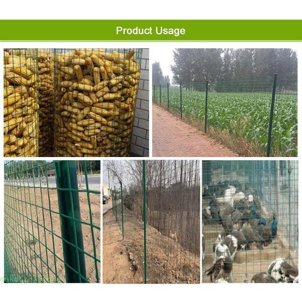 金網フェンス、グリーン 6CM メッシュサイズ 2.0mm グガーデンワイヤーネット、 家禽や小動物の飼育、鳥の防除株式会社錦庭の柵な グリーン 1.2x30m