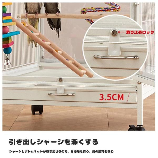 クリアアクリル鳥かご 複数飼い大型インコ 株式会社錦 ケージ